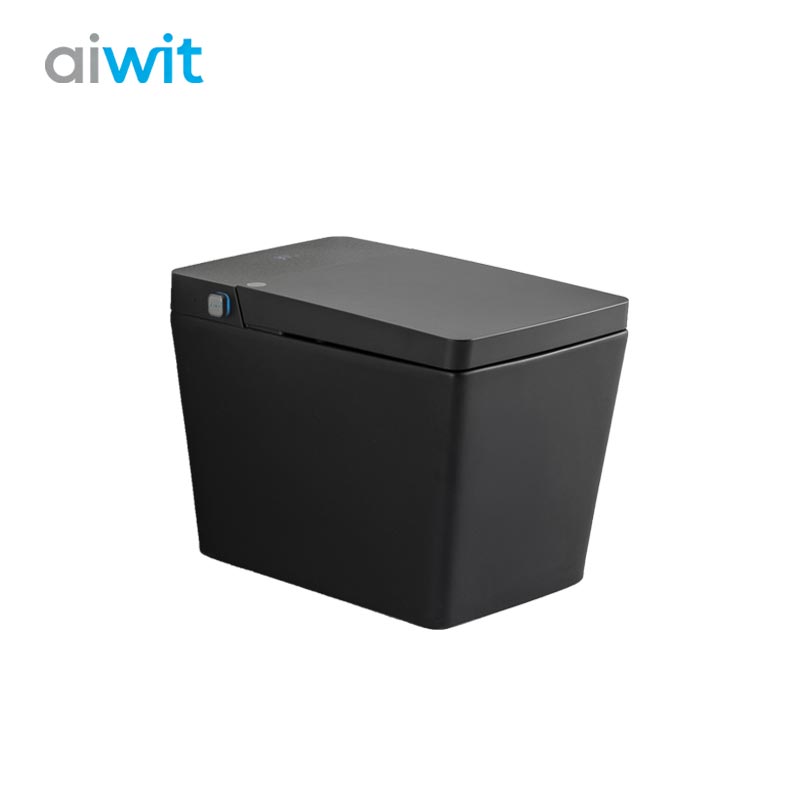 Aiwit Smart Toilet | Contemporary Black Ceramic One-Piece Design