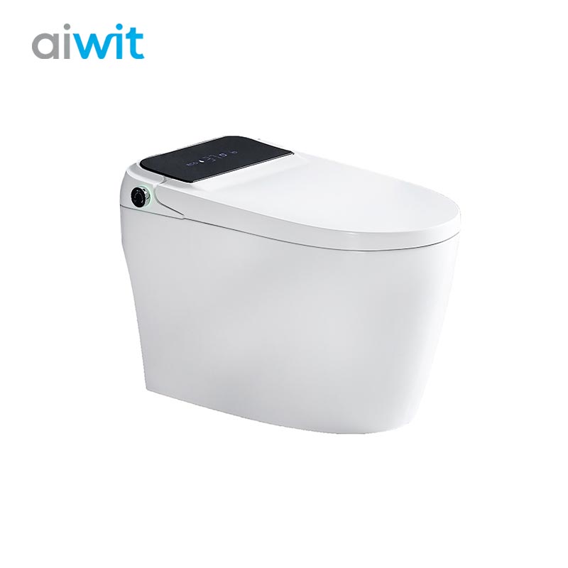 Aiwit Non-electric seat and air pressure-assisted flushing & bidet washing