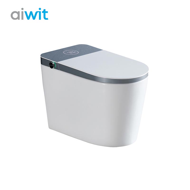 Smart Toilet with Instant Heating | LED Display, Adjustable Pressure | Aiwit