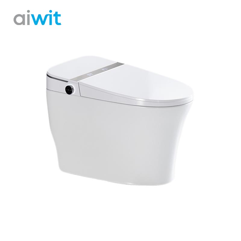 Minimalist Smart Toilet - Electrical Leakage Protection & Combine Tank