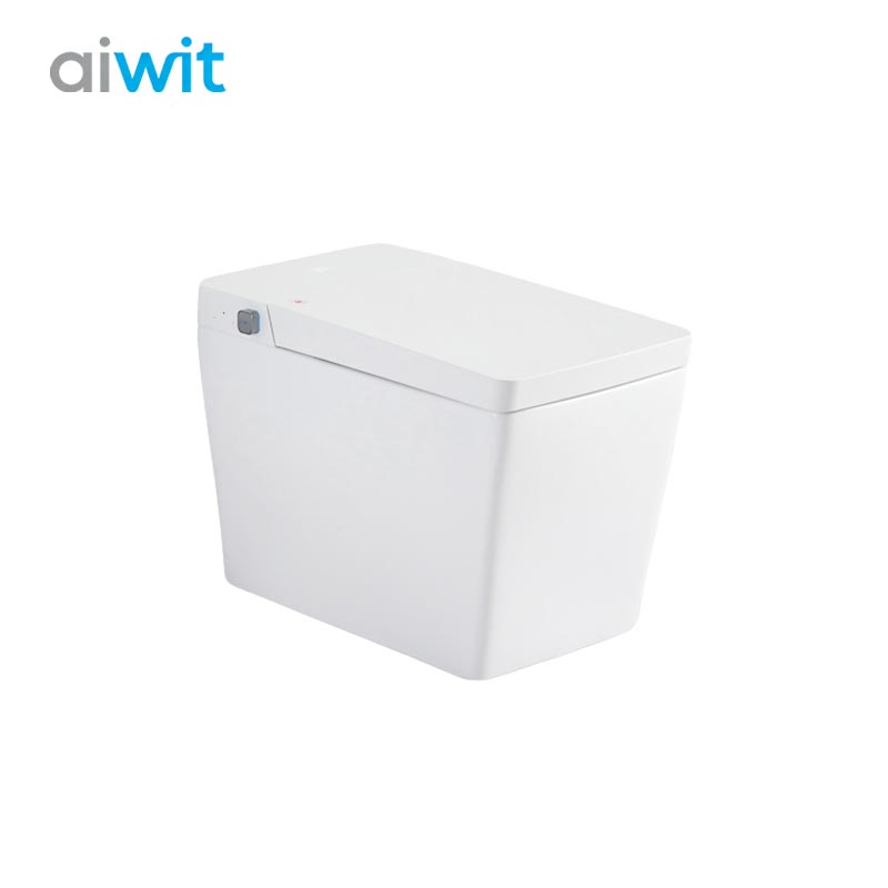 Smart Heated Toilet Seat with Remote Control – Home & Hotel Use 