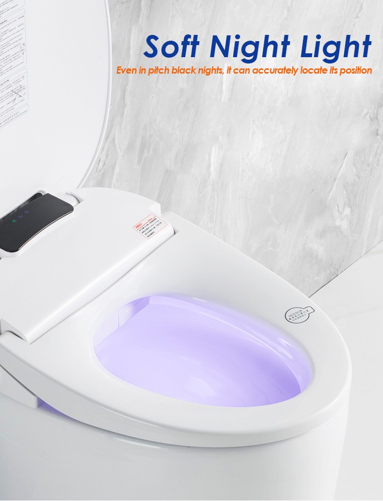 smart toilet seat