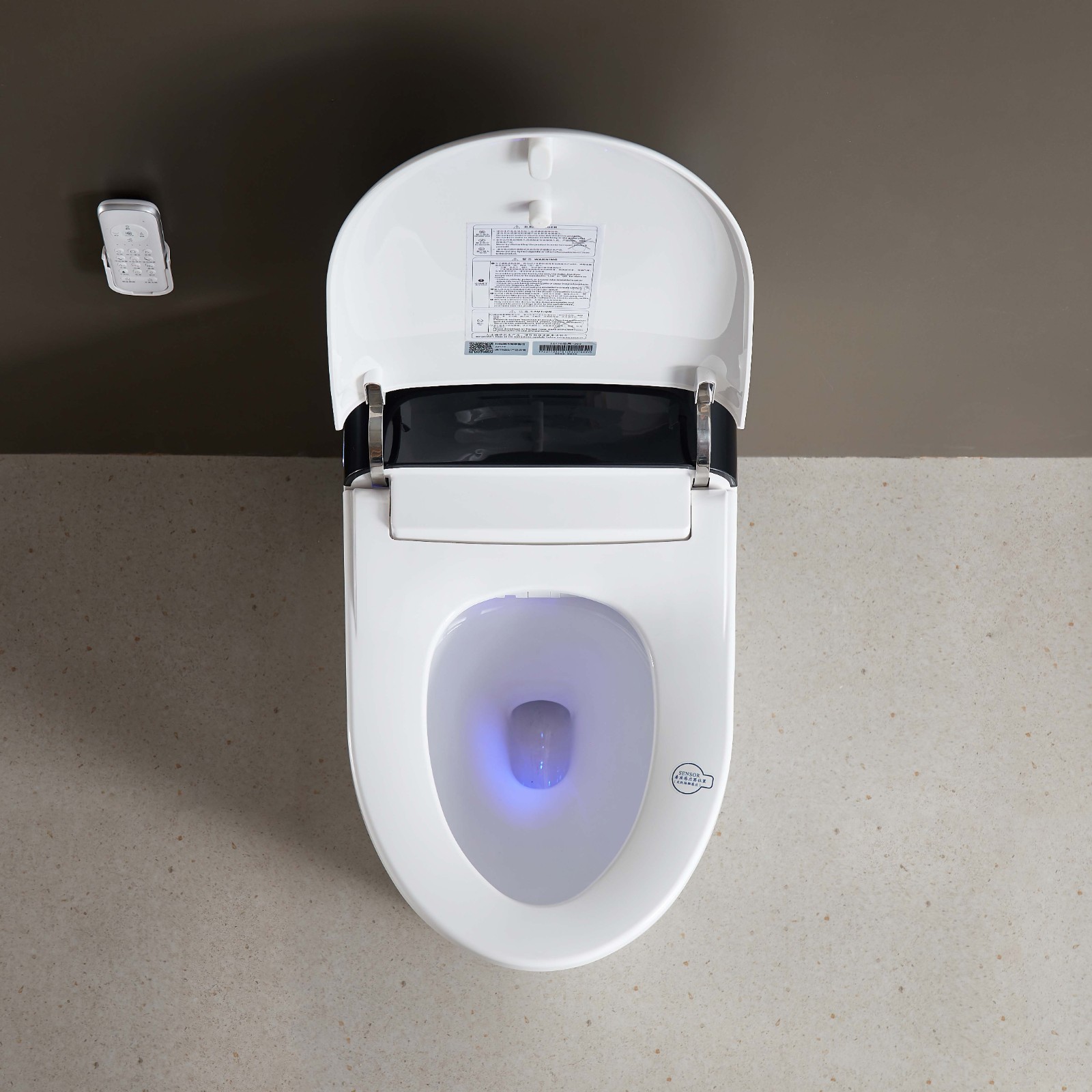 smart toilet.jpg