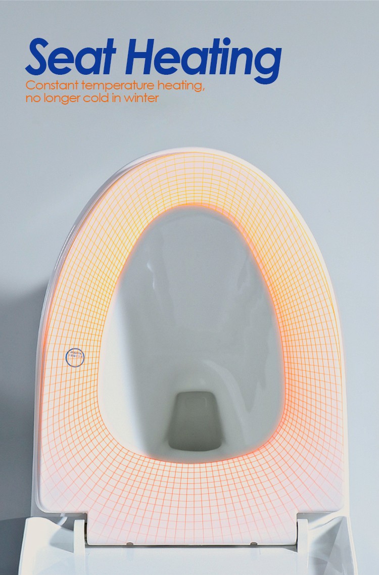 smart toilet with seat heating.jpg